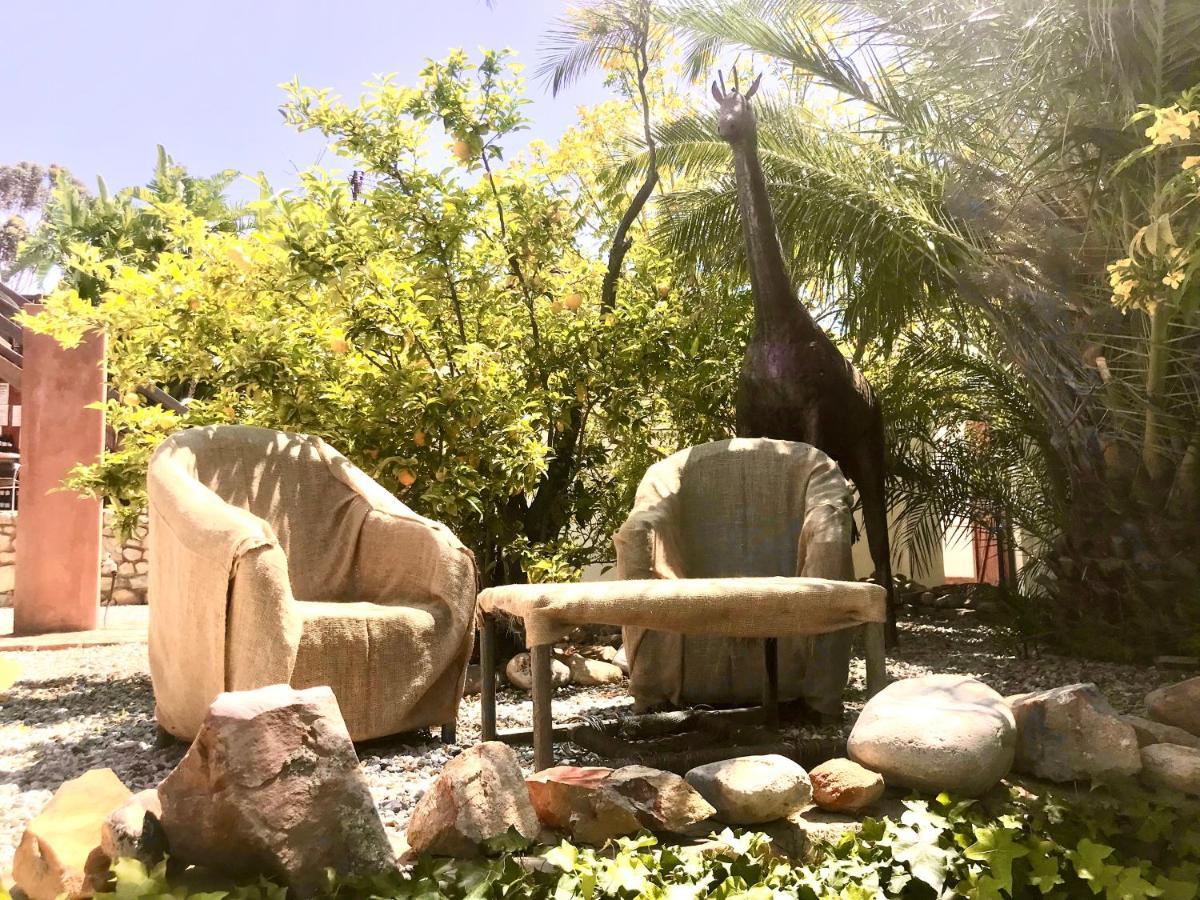Mountain View Eco Lodge Montagu Exterior foto