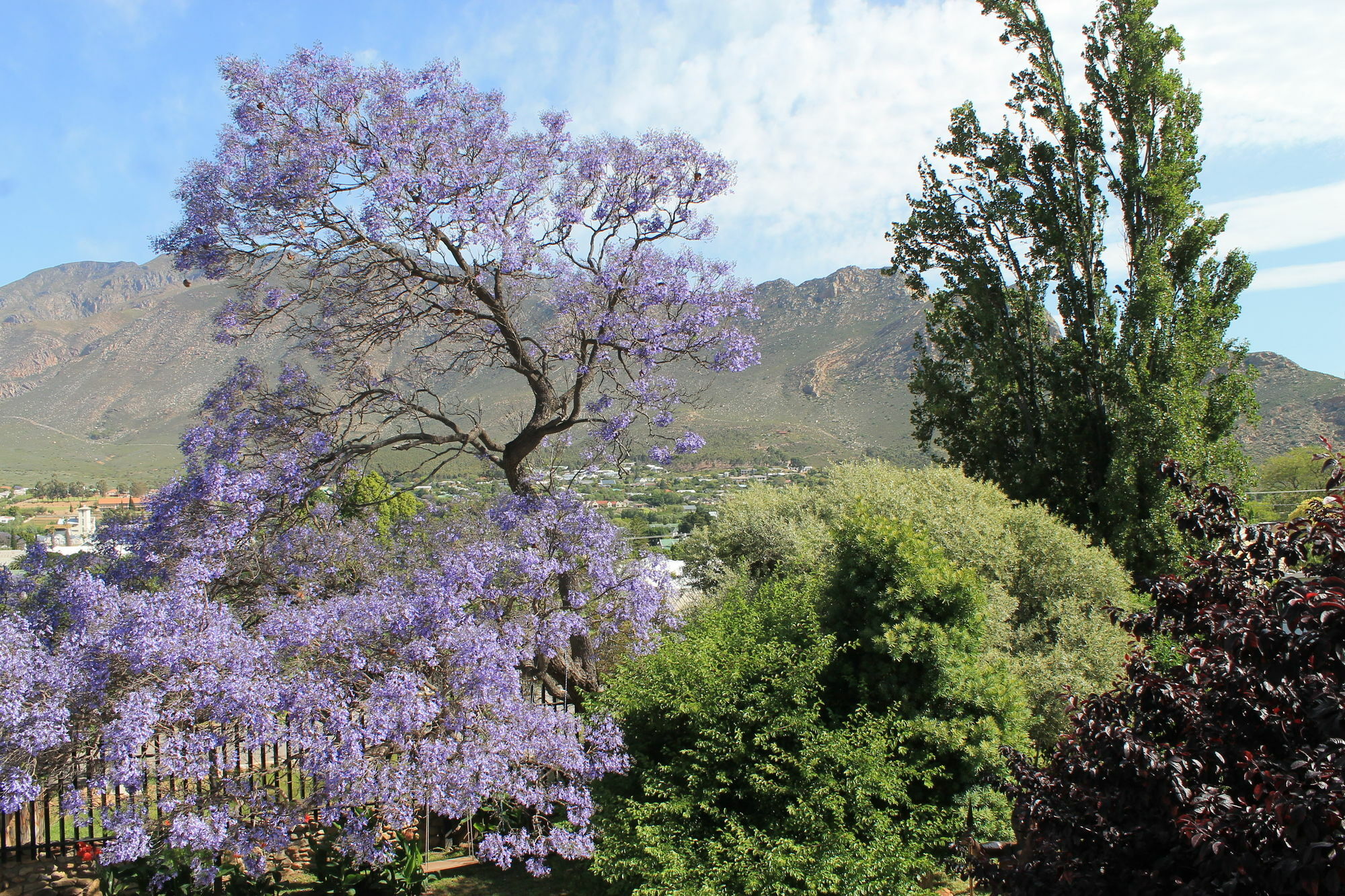 Mountain View Eco Lodge Montagu Exterior foto
